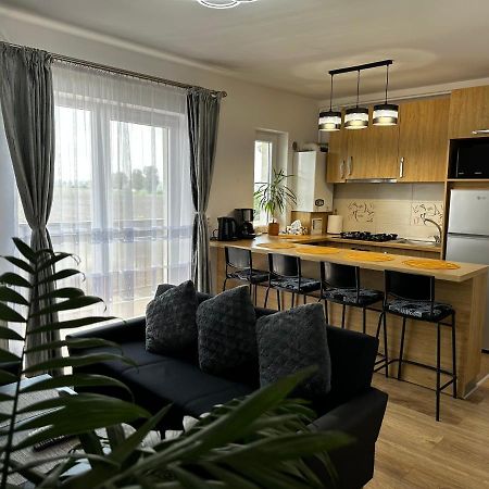 סיביו Apartament Elena מראה חיצוני תמונה